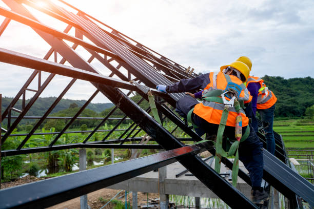 Best Roof Gutter Cleaning  in Verona, MS