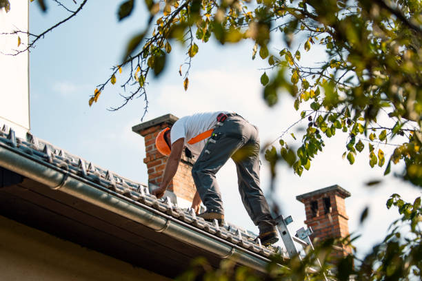 Best Metal Roofing Contractor  in Verona, MS