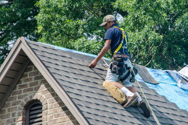 Best Best Roofing Contractors  in Verona, MS